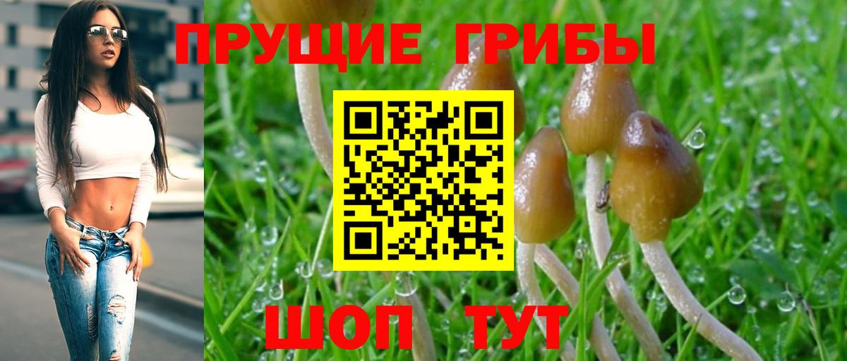 Псилоцибиновые грибы мухоморы Камышин