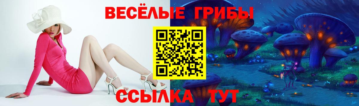 Псилоцибиновые грибы ЛСД  Вход с VPN  Камышин 